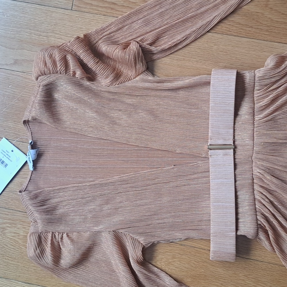 Sabina Musayev Carry Pleated Maxi Dress - Picture 4 of 5